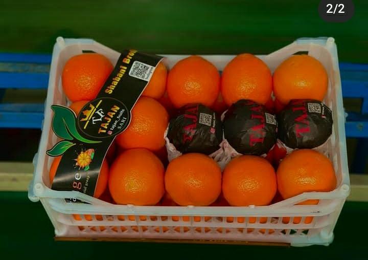 نمونه شماره2