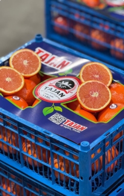 مشاوره تخصصی