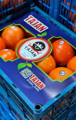 رضایت مشتریان