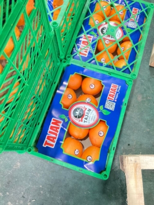 ارسال سریع و مطمئن